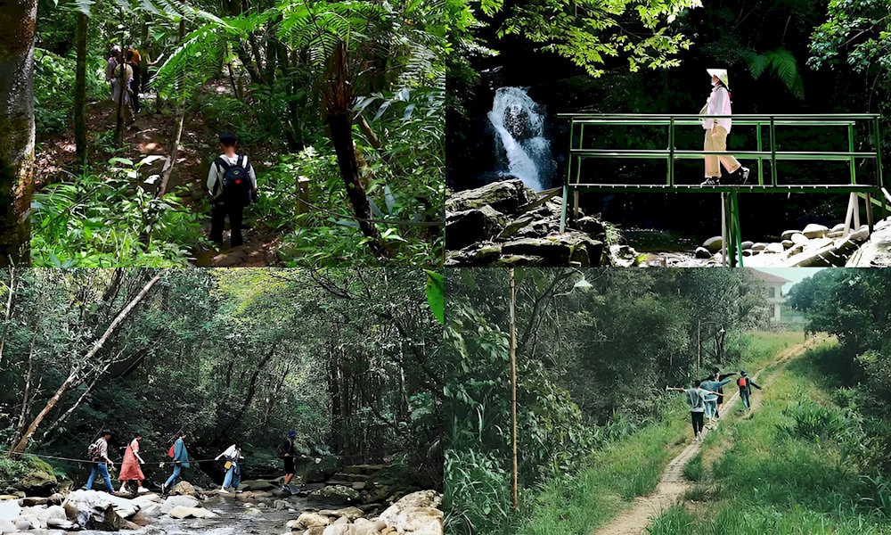 Bạch Mã có nhiều tuyến đường mòn lý tưởng cho dân mê trekking